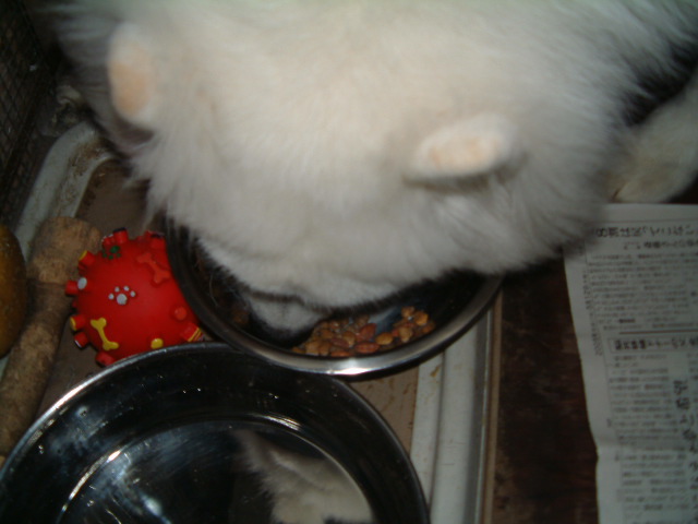 e0024126_8495827.jpg