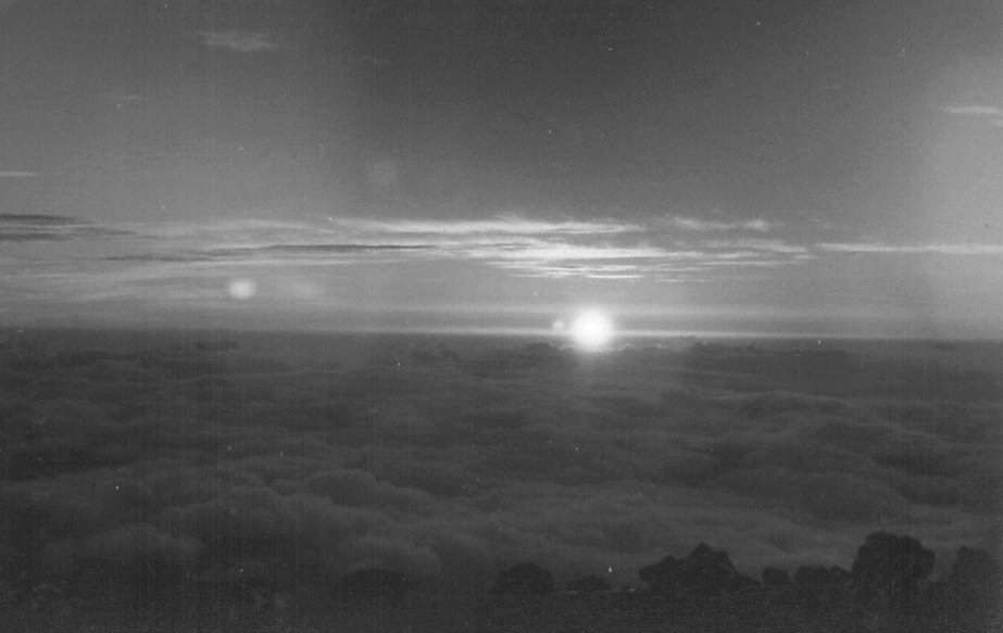 e0033229_20523963.jpg