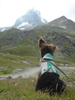 スイス&フランス旅行 ~ツェルマット(Zermatt)Ⅲ~_c0024345_19231325.jpg