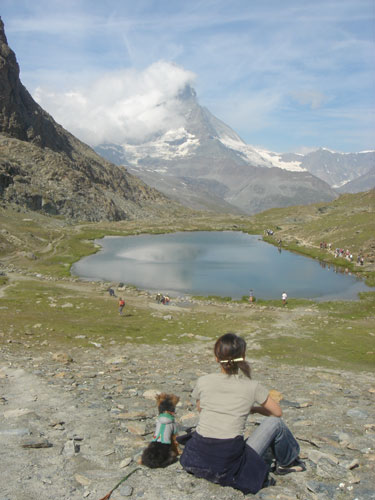 スイス&フランス旅行 ~ツェルマット(Zermatt)Ⅲ~_c0024345_192741.jpg