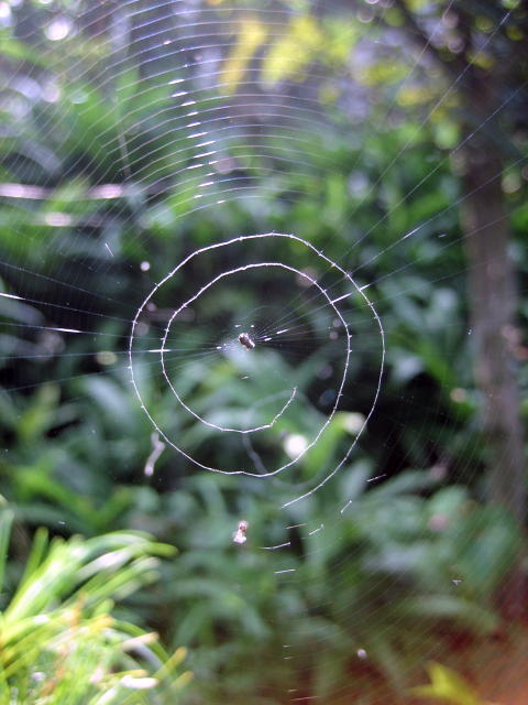 e0009147_13443984.jpg