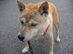 再び。。。_c0049950_21581138.jpg