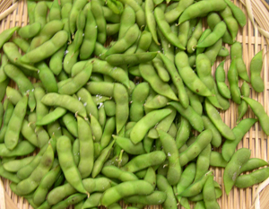 茶豆が旬！！_b0014003_20203181.jpg