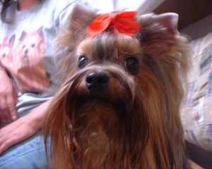 c0023406_15585168.jpg