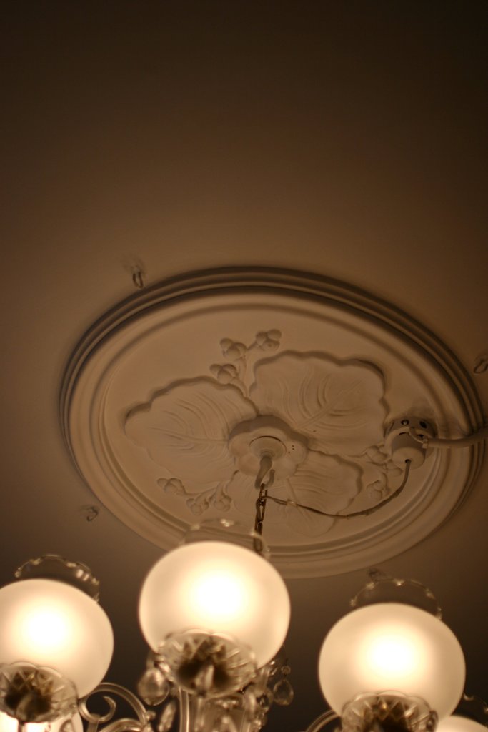 d0001745_4164593.jpg