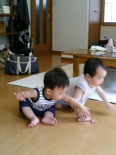 d0001854_0531719.jpg