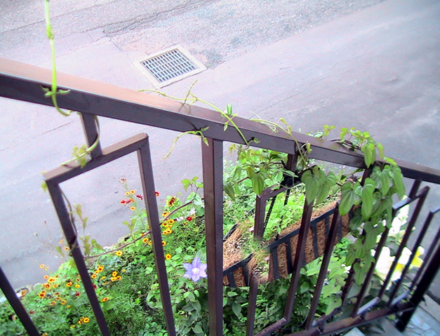 c0016987_2247114.jpg