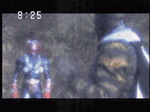 d0052701_0553448.gif