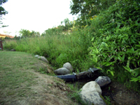 c0033513_22374876.jpg