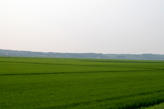 c0054876_1738550.jpg