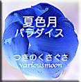 a0012892_2346049.gif