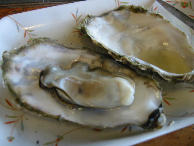 b0042308_9543586.jpg