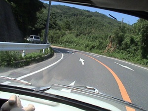 e0023225_1718499.jpg