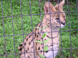 多摩動物公園　2_b0046664_19172469.jpg