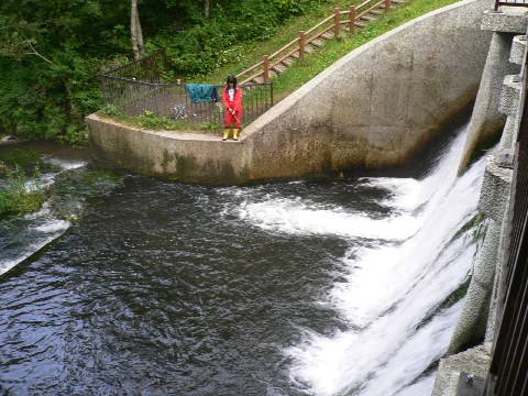 b0068572_23112936.jpg