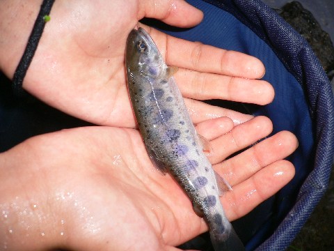 b0068572_2316956.jpg