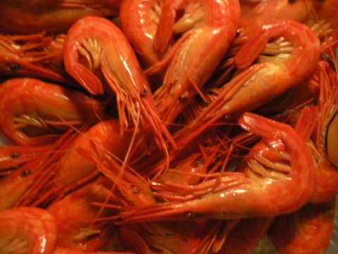 b0068572_23401533.jpg