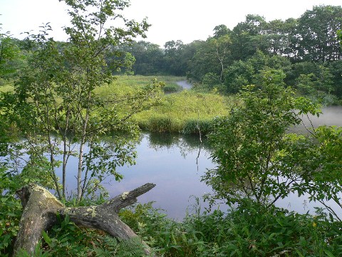 b0068572_2392329.jpg