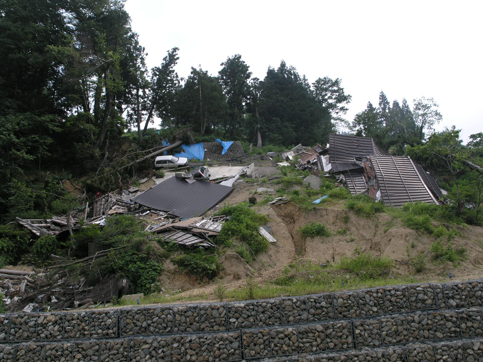 中越地震・山古志村、田麦山のいま_d0027290_715396.jpg