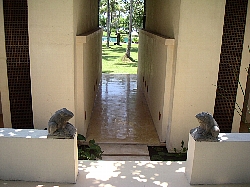 a0036499_0123917.jpg