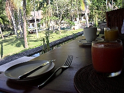 a0036499_0265737.jpg