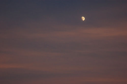 ニコンD50で初めてお月様を撮る！_c0061503_16305763.jpg