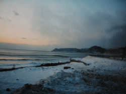 d0014408_1513445.gif