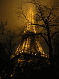 d0014408_15374337.gif