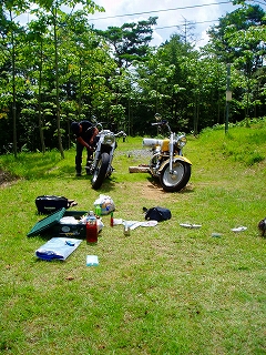 d0030521_1058822.jpg