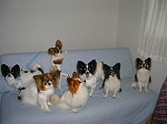 c0048940_14414740.jpg