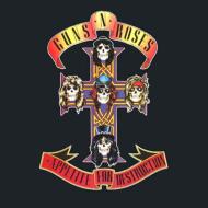 Guns N\' Roses / Appetite For Distruction（1987）_a0026447_150396.jpg