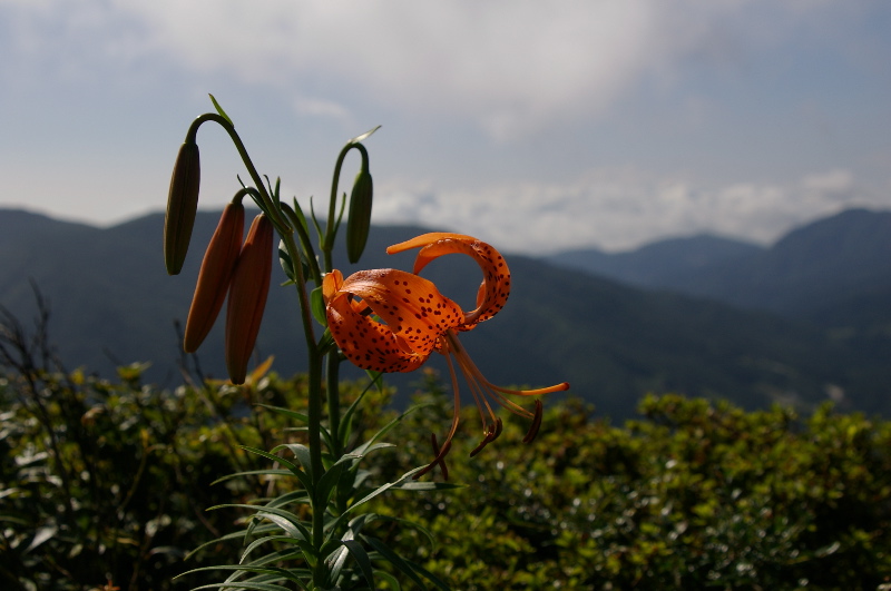 ８月７日　吾妻山_a0009554_048228.jpg