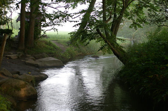 c0054876_672677.jpg