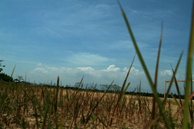 b0027880_22444784.jpg