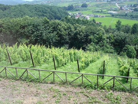 c0053314_15295416.jpg
