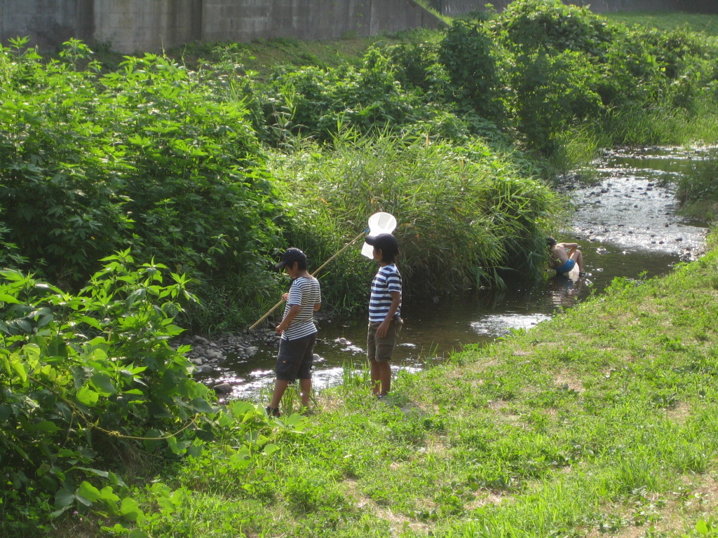 調布市一周　夏を探しに_c0043720_2249078.jpg