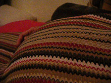 b0026822_1749674.gif