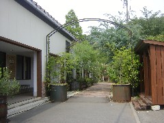 e0016135_19141793.jpg