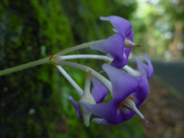 c0047341_22292313.jpg
