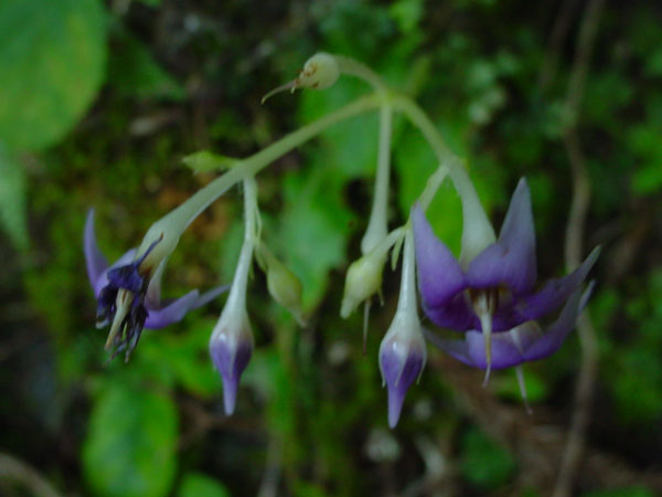 c0047341_22303930.jpg