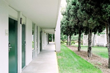 b0025850_21375849.jpg