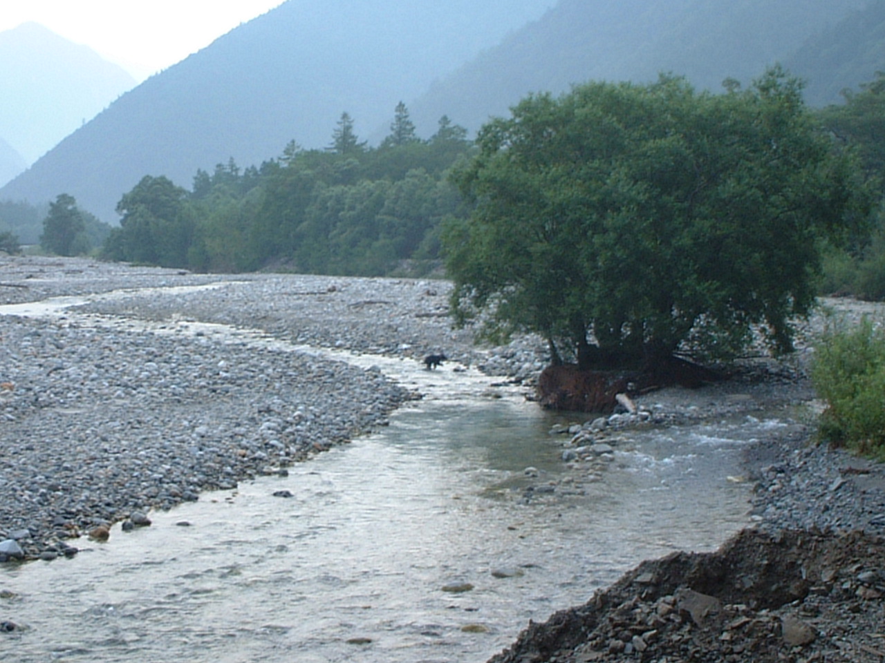 d0063563_23472634.jpg