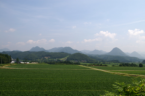 c0054876_5144451.jpg