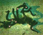 e0019696_2472697.gif