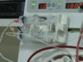 b0043506_16362776.jpg