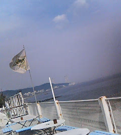 d0065116_205878.jpg