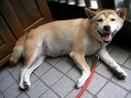 癒されて。。。_c0049950_2113714.jpg