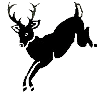 a0012892_1444959.gif