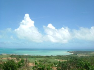 2005沖縄・八重山の旅<1>～小浜島の豊年祭？～_c0072734_1463580.jpg