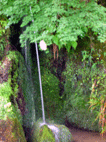 d0065364_9114653.gif